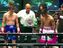 Пикассо не заметил Ринкона в бою за «серебряный» титул WBC