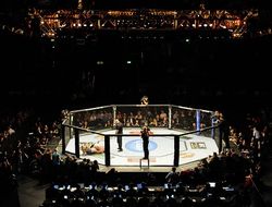 фото - Продажа UFC: сделка на 4,2 миллиарда заключена?