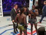 Хайбулаев, Джин, Сторли и Пинедо в финале турнира PFL: результаты