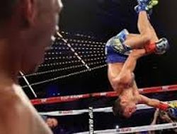 фото - Блоги: Проводников - Молина + Мартинез - Ломаченко. Репортаж.