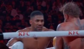 Джошуа нокаутировал Пола. Реакция Макгрегора