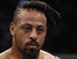 фото - «Принц Войны» из тяжёлого веса UFC идёт в профибокс