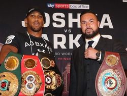 фото - По стопам Холифилда и Боу: Джошуа обещает кровь в бою с Паркером