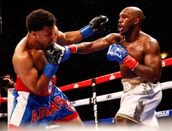 фото - «Доминиканский Майк Тайсон» нанёс дебютное поражение Грину: видео