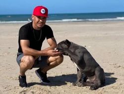 фото - WBC сделал это снова. В боксе появился третий франчайзинг-чемпион