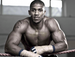 фото - Джошуа победил Бризила