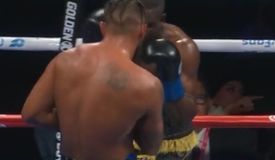 Обидчик Ковалёва ненёс дебютное поражение Миллеру: видео