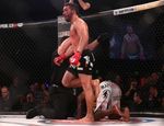 Bellator 132: Фрейре задушил Страуса и другие результаты