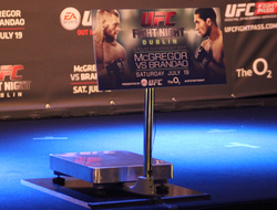 фото - В ММА официально введены четыре новые весовые категории