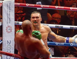 фото - Что выберет Усик? Уоррен назвал три варианта украинца