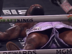 фото - Видео тяжёлого нокаута в бою Дэвис–Мартин