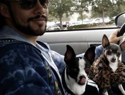 фото - Тёрман травмировался в ДТП, бой с Портером перенесён