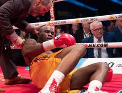 фото - Промоутер не подтвердил новость о том, что Адонис Стивенсон вышел из комы