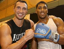 фото - Херн оценил шансы Кличко и Паркера стать соперником Джошуа