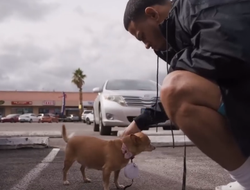 фото - «Рефери пришлось спасать меня от самого себя». Ромеро прокомментировал поражение Крусу