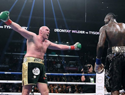 фото - Тайсон Фьюри: Уайлдер вырубит точно так же и Энтони Джошуа, и Диллиана Уайта