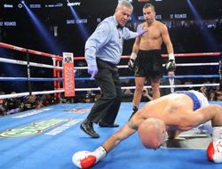 фото - Давид Лемьё напрашивается на бой с Альваресом или «дубль два» с Головкиным