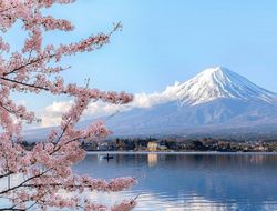 фото - Коронавирус. Япония отменила все боксёрские шоу минимум до мая
