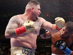 фото - Энтони Джошуа: Кланяйтесь мне в ноги, если побью Руиса в реванше