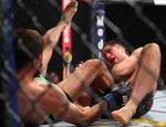 Родригес–Ортега, Салихов–Ли. Видео лучших моментов UFC on ABC 3