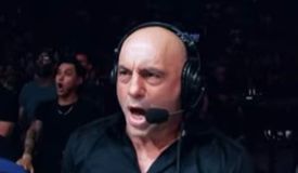 UFC 324: Гэтжи vs Пимблетт. Смотрите промо-видео к бою