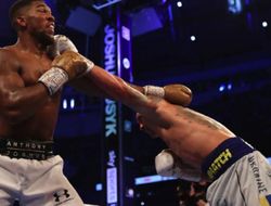 фото - Разве Джошуа пообещал драться с Усиком? Эксперт настаивает на своём