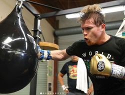 фото - Что там в соцсетях? Фьюри теряет лицо, Бриггс остаётся собой, а Джошуа стал послом