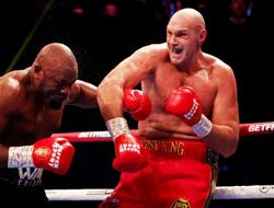 фото - Фьюри удосрочил Чисору. Усик следующий? 