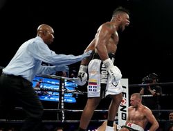 фото - Элейдер Альварес обратился к Сергею Ковалёву: Чувак, где твоё уважение?