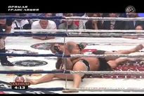 Видео боя: Дмитрий Сосновский – Александр Емельяненко