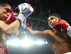 фото - Проигравший: Шакур Стивенсон — не великий