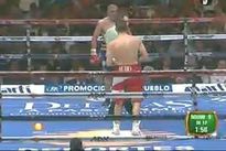 Видео боя: Марко Антонио Рубио – Доменико Спада