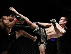 фото - Коротко о ММА