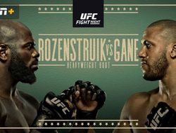фото - UFC Fight Night 186: Жаирзиньо Розенструйк – Сирил Ган. Смотреть онлайн прямой эфир
