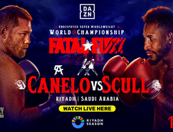 фото - Канело Альварес – Вильям Скулл. Результаты