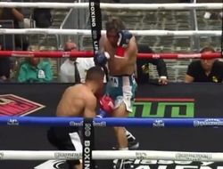 фото - Завершился позорный элиминатор WBC: видео
