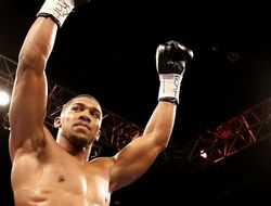 фото - Бою быть: Джошуа посягнёт на титул Мартина