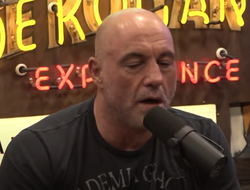 фото - «Я очень боялся, что он пострадает». Роган о бое Тайсон–Пол