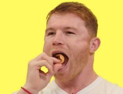 фото - Канело Альварес: «Я могу нокаутировать любого»