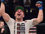 Bellator 183: Хендерсон проиграл Фрейре, Дэйли нокаутировал Ларкина, Нельсон одолел Айялу