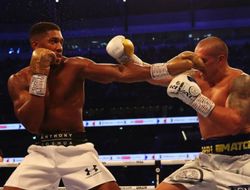 фото - Джошуа может провести промежуточный бой перед реваншем с Усиком — промоутер