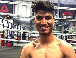 фото - В конце года Майки Гарсиа подерётся за пояс WBC со Златичанином