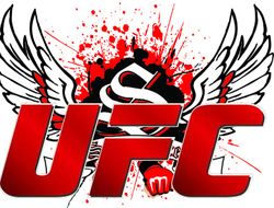 фото - Деньги: сколько бойцы UFC получат от спонсорского контракта с Reebok