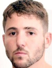 Грег Вендетти