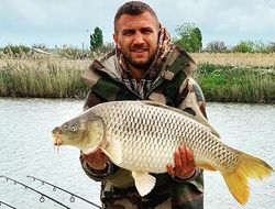 фото - Ломаченко против Кэмпбелла: известно предварительное время и место боя