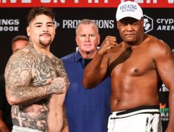 фото - Названы официальные гонорары Руиса и Ортиса