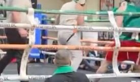 Макгрегор провёл поединок по правилам бокса: видео