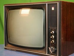 фото - Бой Хёрда с Ларой в США посмотрели больше, чем супертяжей Джошуа и Паркера