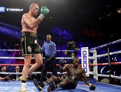 фото - Если бы я тренировал Уайлдера, он бы сумел побить Тайсона Фьюри — Флойд Мэйуэзер