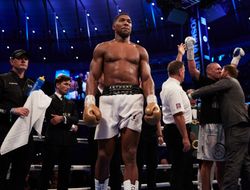 фото - Джошуа: «Отказаться от боя с Усиком и покрыть себя позором?»